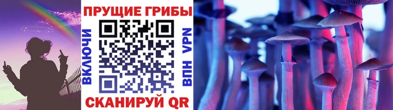 Псилоцибиновые грибы Psilocybe  наркошоп  Углегорск 